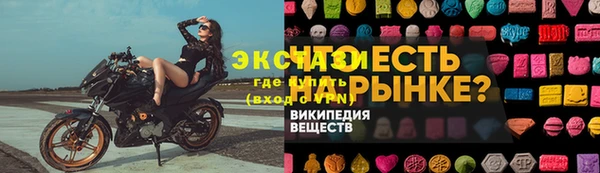 сатива Лабытнанги