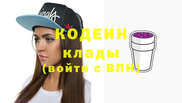 сатива Лабытнанги