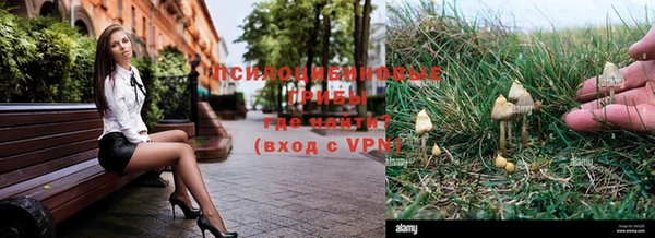 сатива Лабытнанги