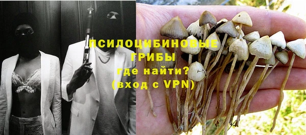сатива Лабытнанги