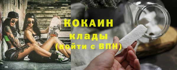 спиды Ладушкин