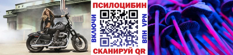 Купить  Михайловск  Галлюциногенные грибы Psilocybine cubensis 
